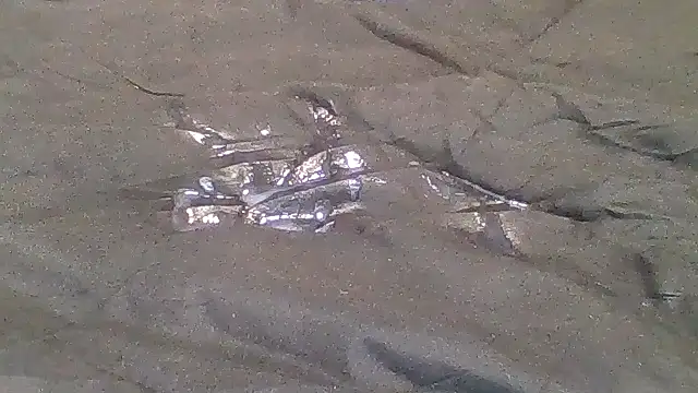 Houstonslong1's cam snapshot