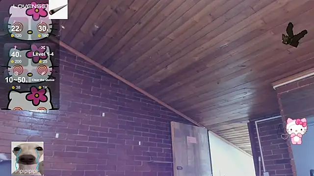 meow_mota's cam snapshot