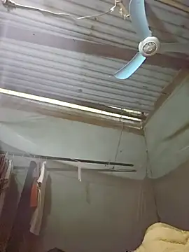 Squirrel-Pear's cam snapshot