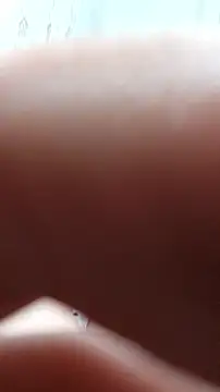 Lucu_'s cam snapshot