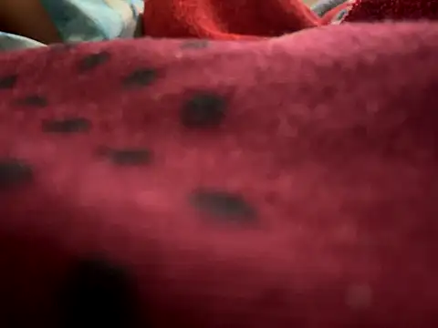 moonlight_289's cam snapshot