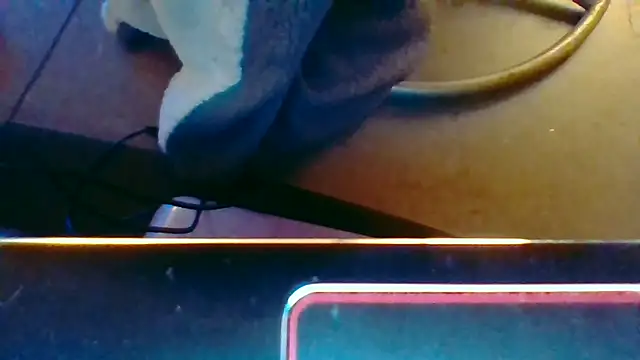 eatmeplease44's cam snapshot