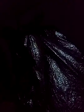 LetMeLiqU's cam snapshot