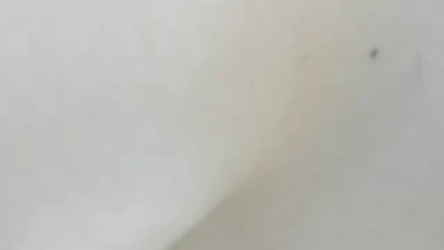 celestica_rose's cam snapshot