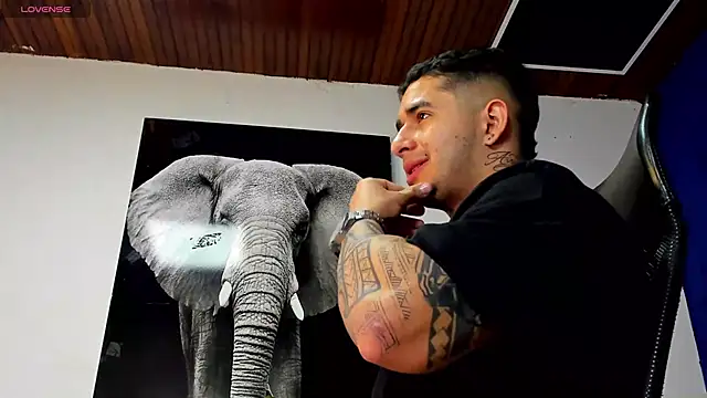 king_falconer's cam snapshot