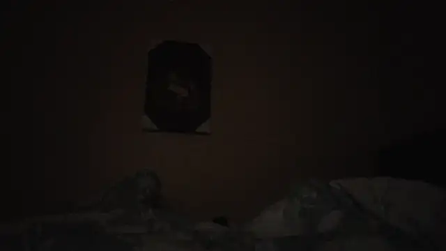 hailzeffn's cam snapshot