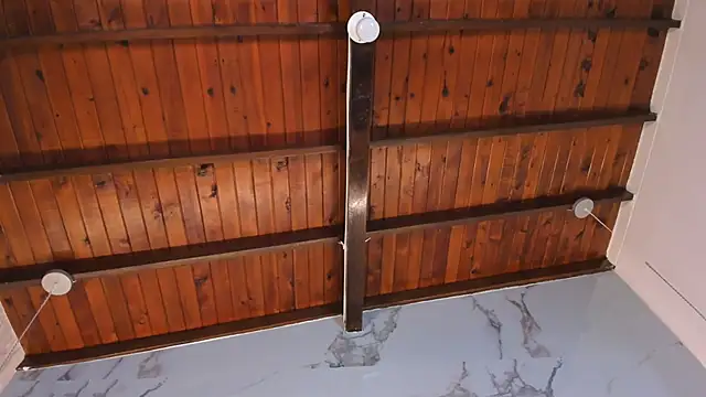 Celeste-Evanns's cam snapshot