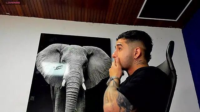 king_falconer's cam snapshot