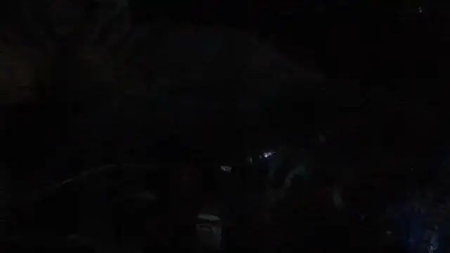 sdmsilver1983's cam snapshot