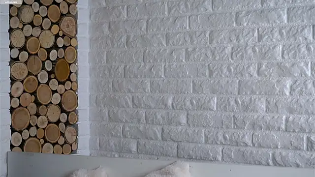 LowOncoming's cam snapshot