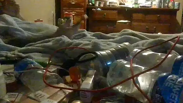 sdmsilver1983's web cam