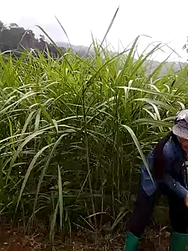 abigail-00's cam snapshot