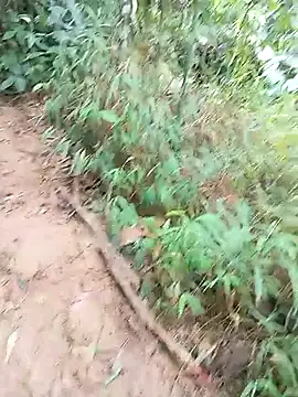 Phuongphuongg's cam snapshot