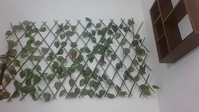 Queengp's cam snapshot