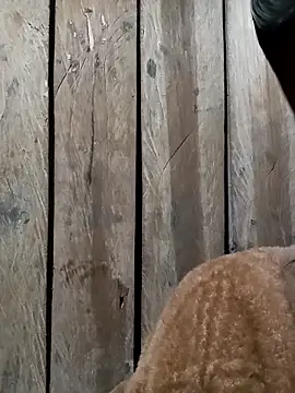 bonnie-00 live sex cam