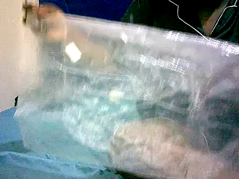 honeypotsweet's cam snapshot