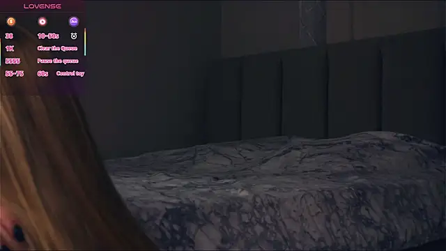 VeronaBench's cam snapshot