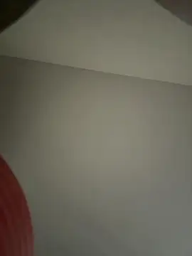 DianaNatur's web cam