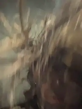 Dyskizly's cam snapshot