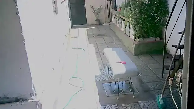 mybodyarg's cam snapshot