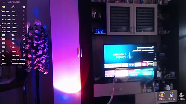 SheilaRyan's web cam