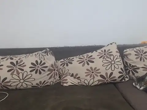 COBRAboySEX@xh's cam snapshot