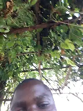 missarpie's cam snapshot