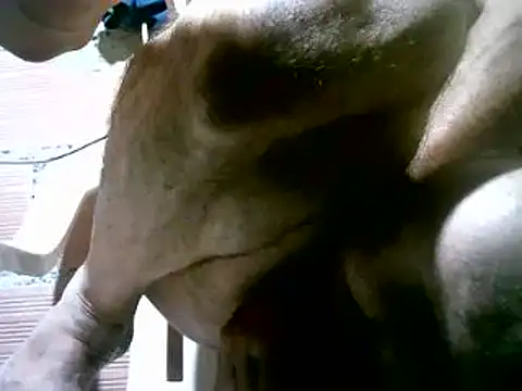 israe1975's cam snapshot