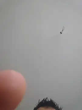 poissinet2 live sex cam