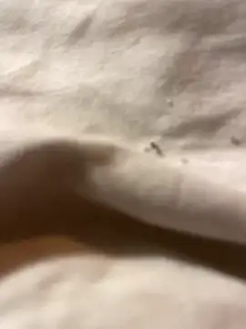 Reine_du_Vice84's cam snapshot