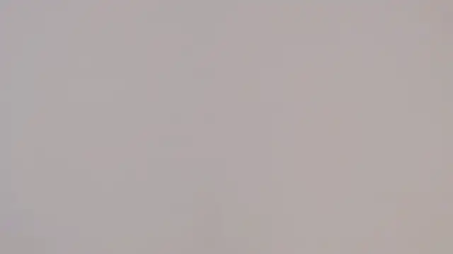 evannesanicol08's cam snapshot