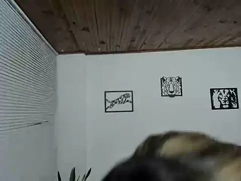 LinaBrowm's cam snapshot