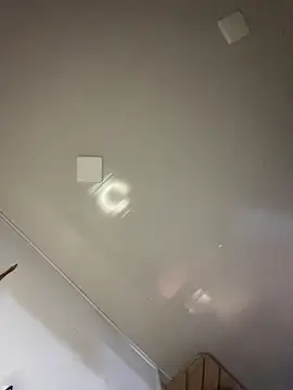 Violeet-Smith's cam snapshot