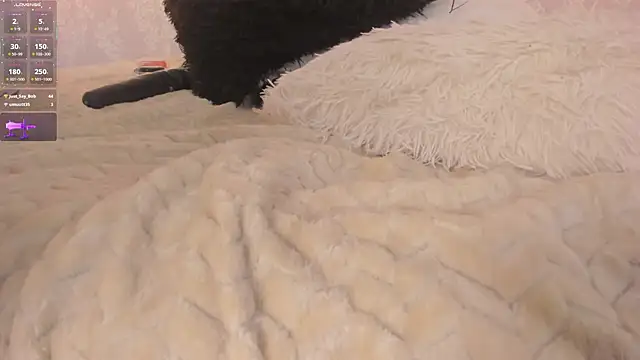 dayra_angels's cam snapshot