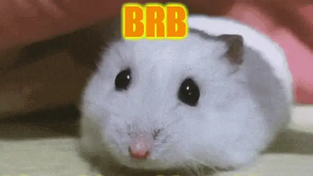 Lolly_Fly's cam snapshot