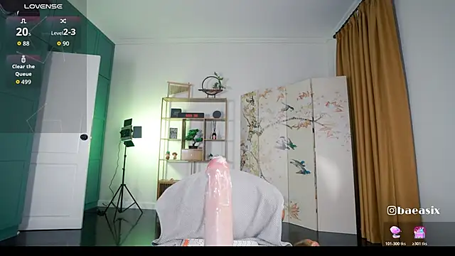 baeasian's cam snapshot