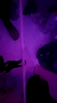 Misspadrona88's cam snapshot