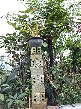 xuxulovezz's cam snapshot