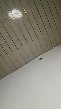 _foreigntitts's cam snapshot