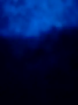 wivolove live sex cam