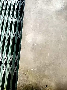 Socola205's cam snapshot