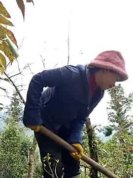 miomio-12 live sex cam