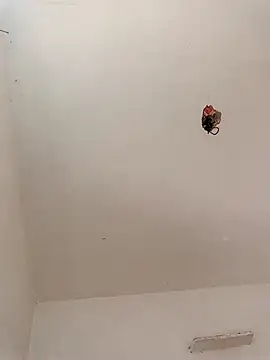 Dikchahot's cam snapshot