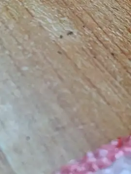 Markroco696 live sex cam