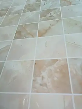 Lan217's cam snapshot