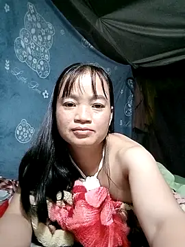 Noelle-e's cam snapshot