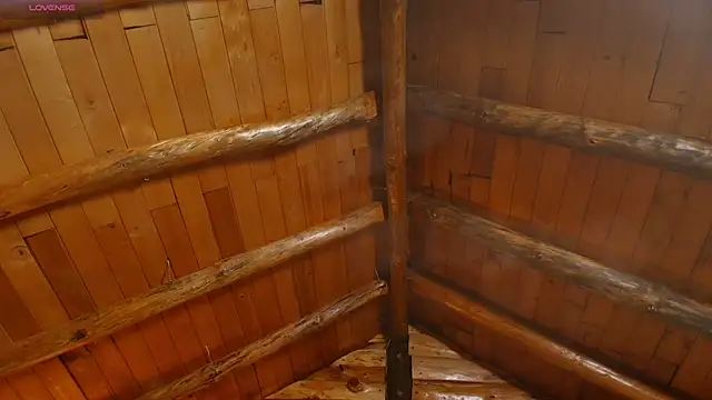 Laurensex4's cam snapshot