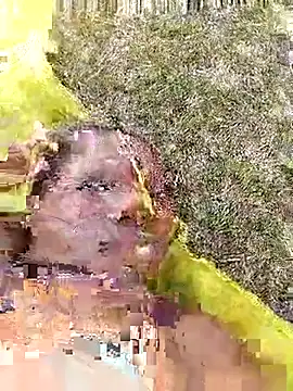 CuteBootyBae live sex cam