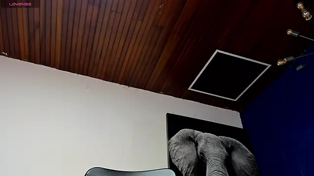 king_falconer's cam snapshot