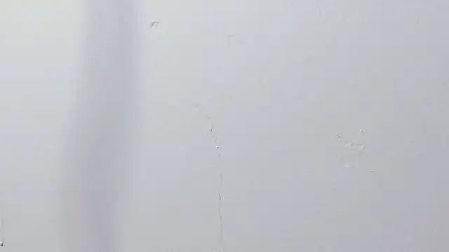 Naomi_Flame's cam snapshot